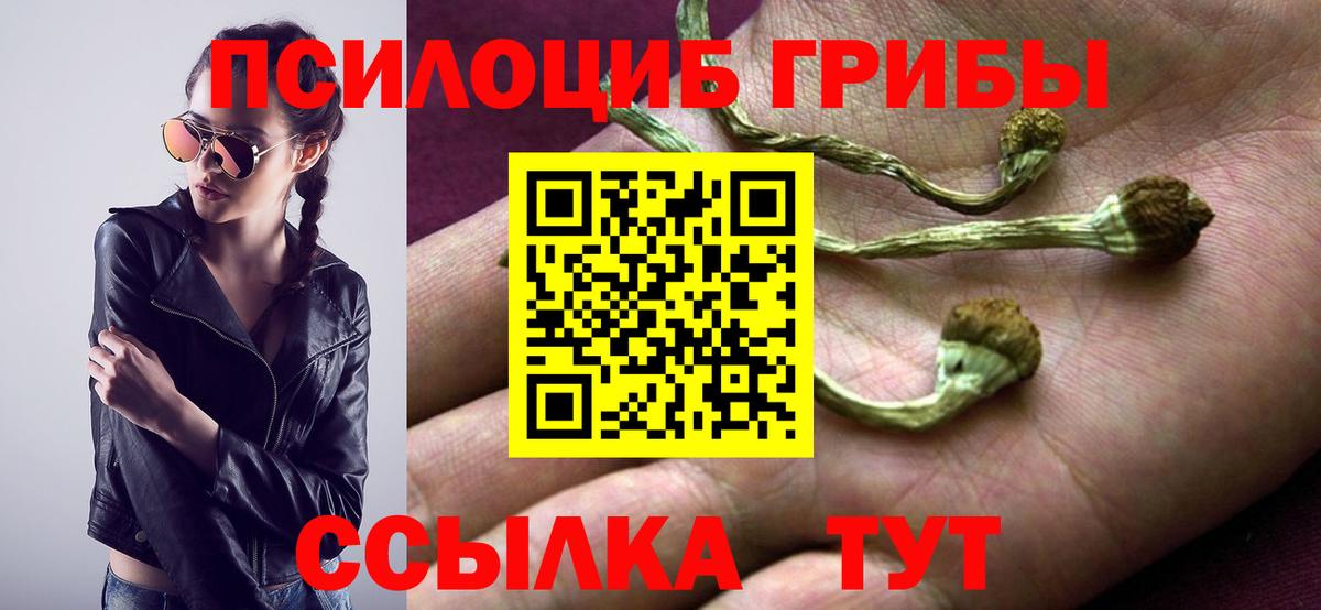 Галлюциногенные грибы MAGIC MUSHROOMS Чебаркуль